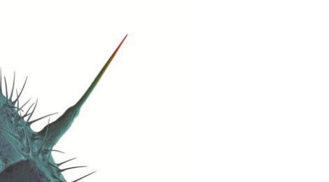 peter-gabriel-cover-2013